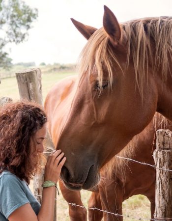 A woman works with a horse in equine therapy.